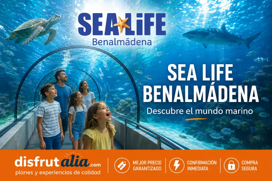 Sea Life Benalmádena, Acuariop con tiburones y tortugasa